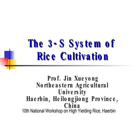 0404 The 3-S System of Rice Cultivation