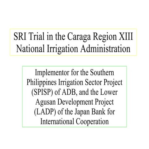 0422 SRI Trial in the Caraga Region XIII National Irrigation Administration