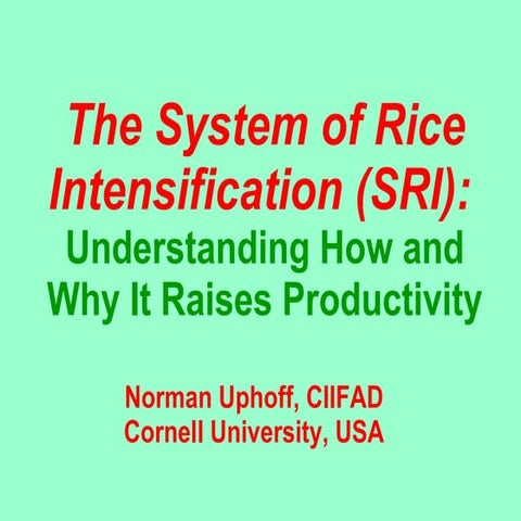 0424 The System of Rice Intensification (SRI) Understanding How and Why It Ra...