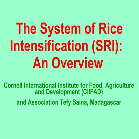 0425 The System of Rice Intensification (SRI):   An Overview - Part I