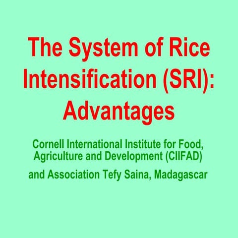 0427 The System of Rice Intensification (SRI):   Advantages - Part III