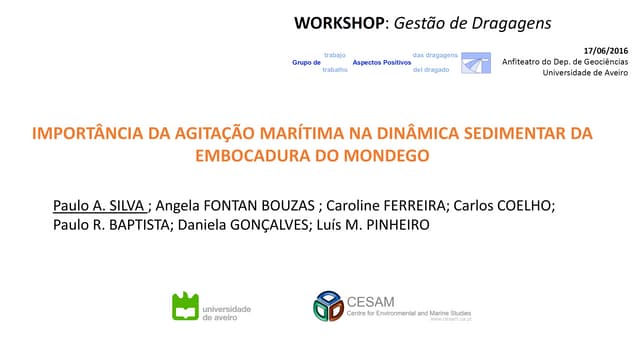 Workshop “Gestão de Dragagens” – Paulo Silva