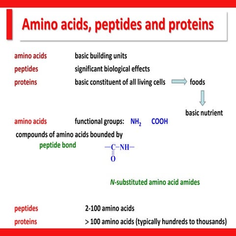 04 Amino acids SPECIAL @.pdf