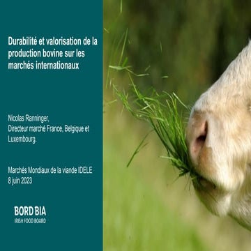 MMX2023 Viande - Irlande : durabilité et valorisation de la production bovine...