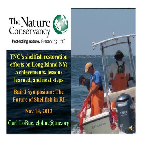 Carl LoBue, "TNC’s shellfish restoration efforts on Long Island NY: Achieveme...