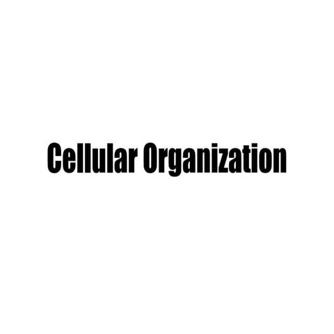 Cellular Organizations | Class 8 | Science