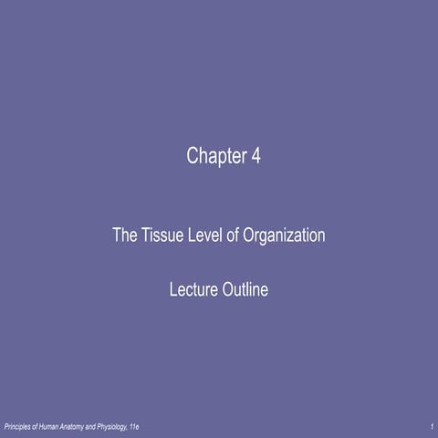 04 [chapter 4 the tissue level of organization][11e]