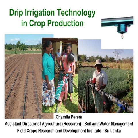 Drip Irrigation - Climate Smart Agriculture