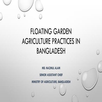 Floating Garden Agricultural Practices in Bangladesh