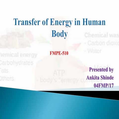 Transfer of energy in human body