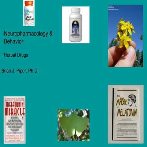 Neuropharmacology: Herbal Drugs