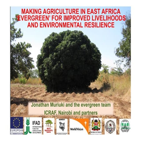 04 j muriukijonathan-icraf- evergreen-agric-eastafrica-fara-aasw-accra july 2...