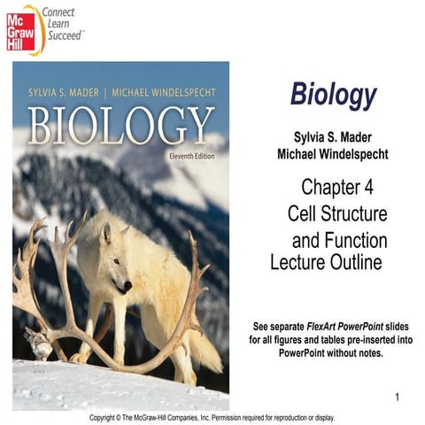 04 lecture ppt cell structure and function | PPT