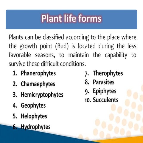 Plant life forms