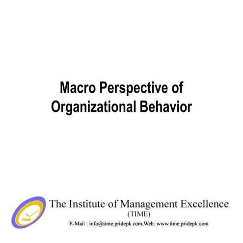 Macro perspective Organisation Behaviour