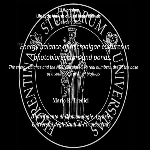 Algae culture in different model and locations.pdf