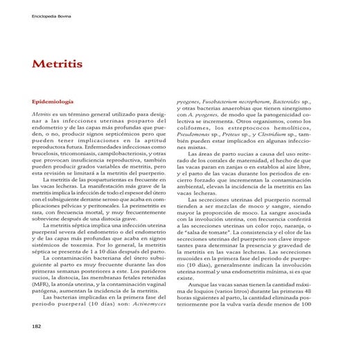04 metritis | PDF