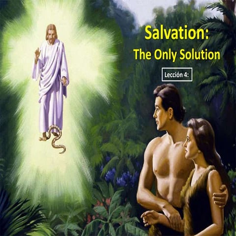 04 salvation only solution