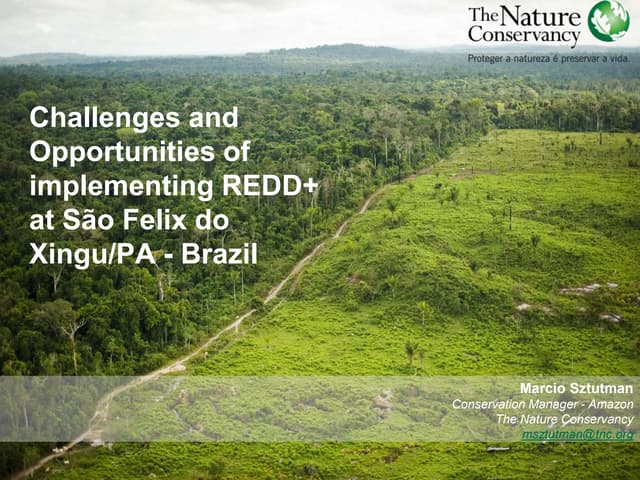 Challenges and advances of implementing REDD+ at São Felix do Xingu