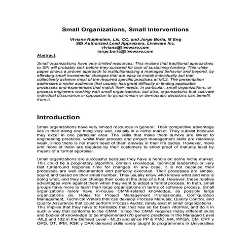 04 small interventions sepg 2007