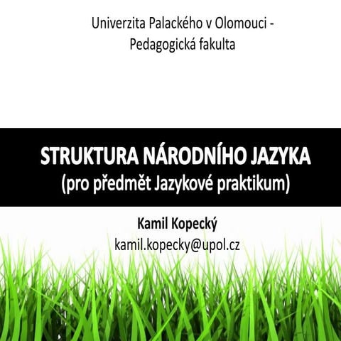 Struktura národního jazyka