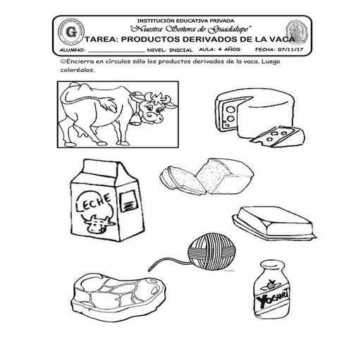 04 tarea productos derivados de la vaca