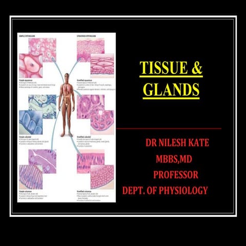  TISSUE-GLANDS