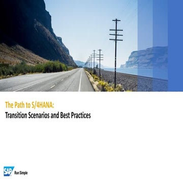 04_transition_scenarious_and_best_practices.pdf