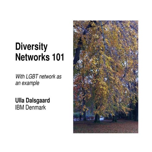 04 Ulla Dalsgaard - diversity networks 101
