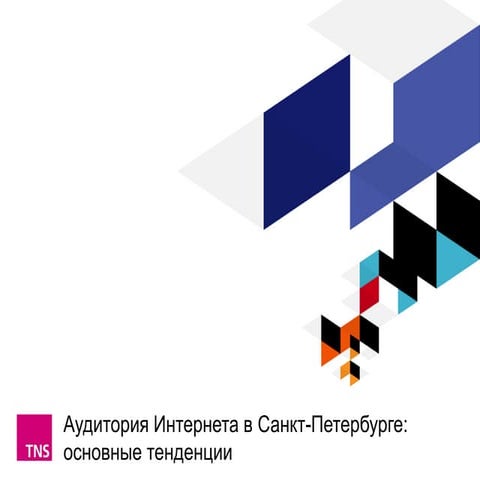 Аудитория интернета в Санкт-Петербурге TNS 2012