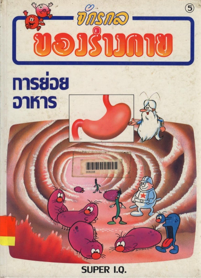 จ กรกลของร างกาย 05 การย อยอาหาร