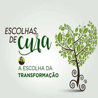 A Escolha da Transformação