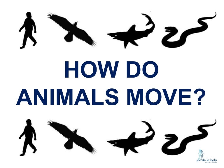 HOW DO ANIMALS MOVE?