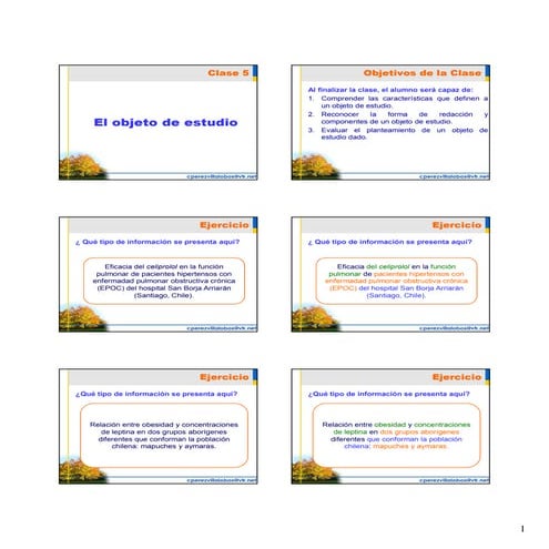 05   El Objeto De Estudio