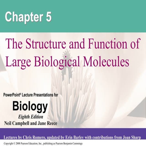 Chapter 5 introductory Biology Course Camp