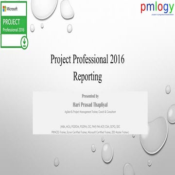 Project Professional 2016 - reports