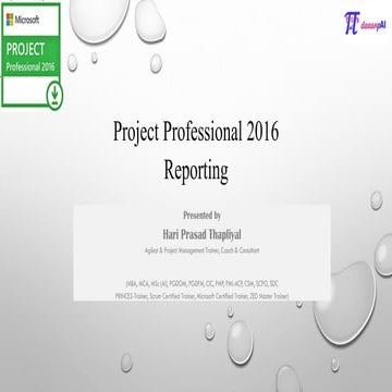 Project Professional 2016 - Reports