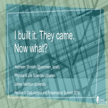 RDAP 16: I built it. They came. Now what? (Panel 2, Sustainability)