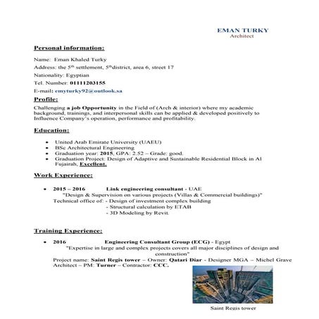 ali abdallah -cv . | PDF