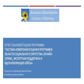Отчет о базовых замерах показателей программы ПИОН