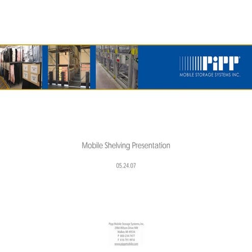 Pipp Presentation | PDF