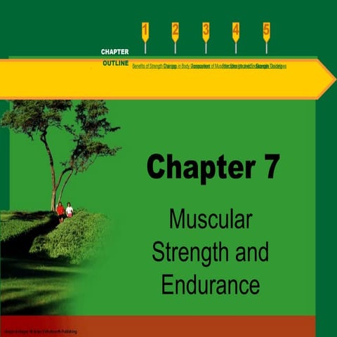 muscle strength endurance