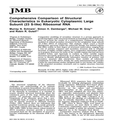 Canonical structures for the hypervariable regions of immunoglobulins | PDF