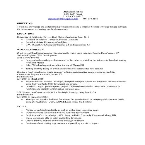 Resume of Alexander Villela