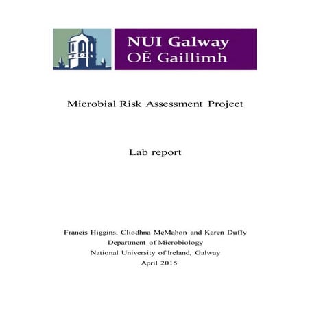 MRA Lab Report