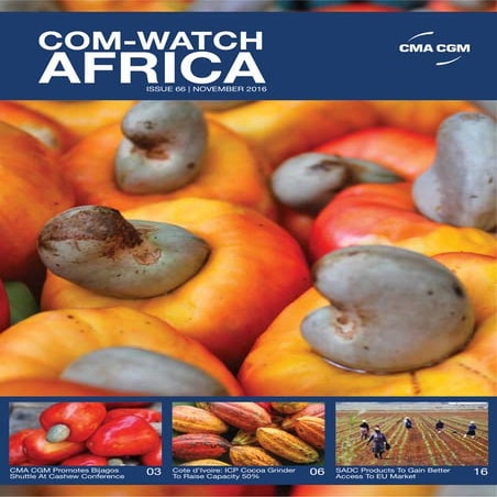 Com-Watch - Issue 66 - November 2016