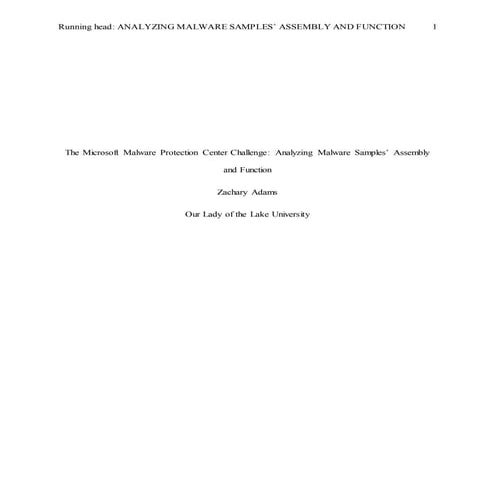 Malware Final Report