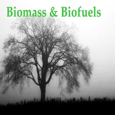 Chapter 5 - Biomass and biofuels bioenergy