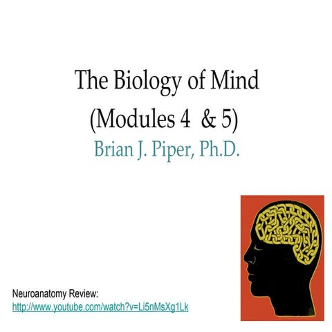 Introductory Psychology: Biopsychology