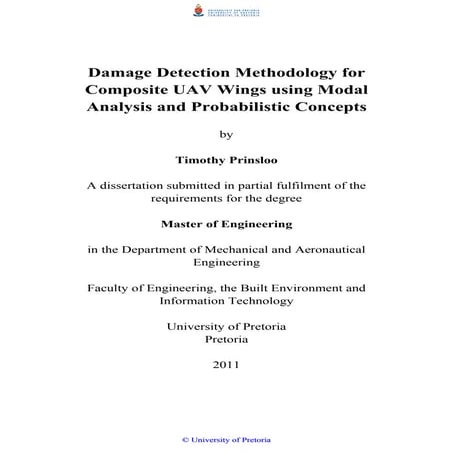 Prinsloo_Damage_2011